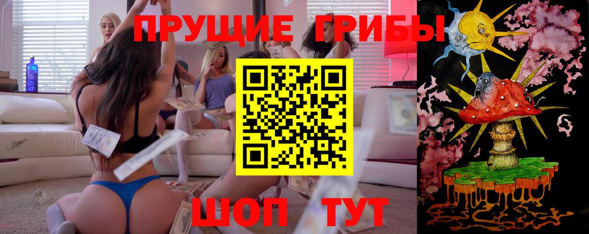 Тавда  Галлюциногенные грибы Psilocybe  Вход с VPN 